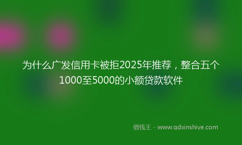 为什么广发信用卡被拒2025年推荐，整合五个1000至5000的小额贷款软件