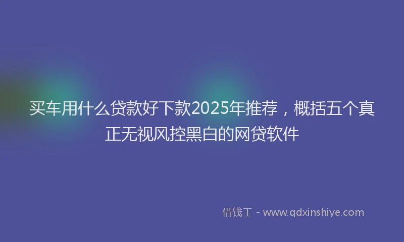 买车用什么贷款好下款2025年推荐，概括五个真正无视风控黑白的网贷软件