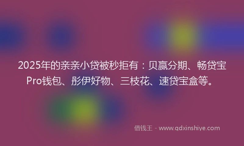 2025年的亲亲小贷被秒拒有：贝赢分期、畅贷宝Pro钱包、彤伊好物、三枝花、速贷宝盒等。