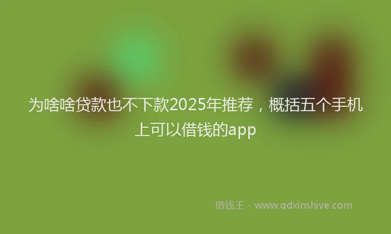 为啥啥贷款也不下款2025年推荐，概括五个手机上可以借钱的app