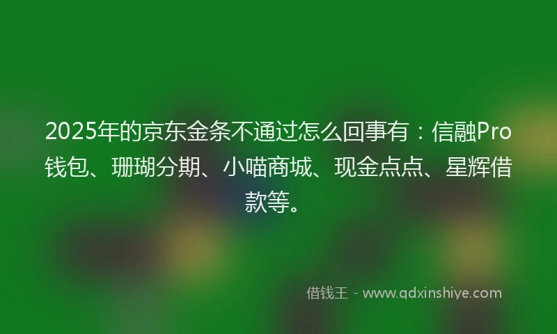 2025年的京东金条不通过怎么回事有：信融Pro钱包、珊瑚分期、小喵商城、现金点点、星辉借款等。