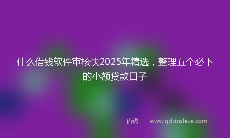 什么借钱软件审核快2025年精选，整理五个必下的小额贷款口子