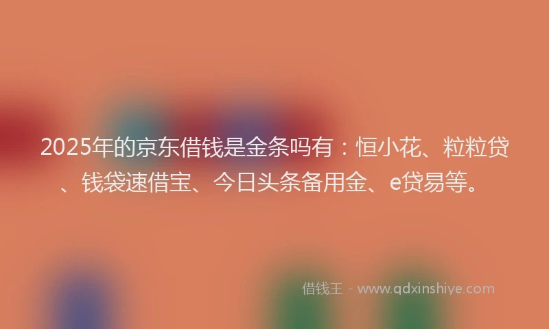 2025年的京东借钱是金条吗有：恒小花、粒粒贷、钱袋速借宝、今日头条备用金、e贷易等。