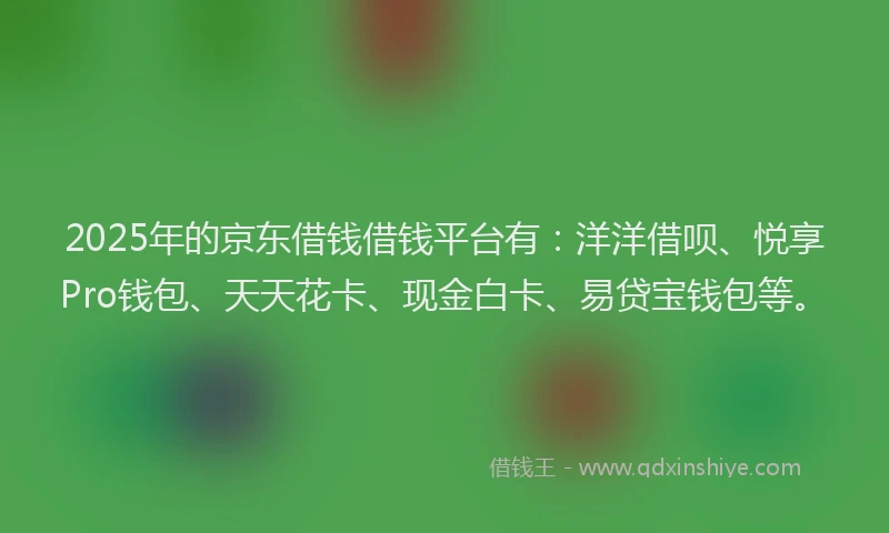 2025年的京东借钱借钱平台有：洋洋借呗、悦享Pro钱包、天天花卡、现金白卡、易贷宝钱包等。