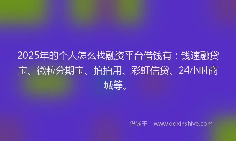 2025年的个人怎么找融资平台借钱有：钱速融贷宝、微粒分期宝、拍拍用、彩虹信贷、24小时商城等。
