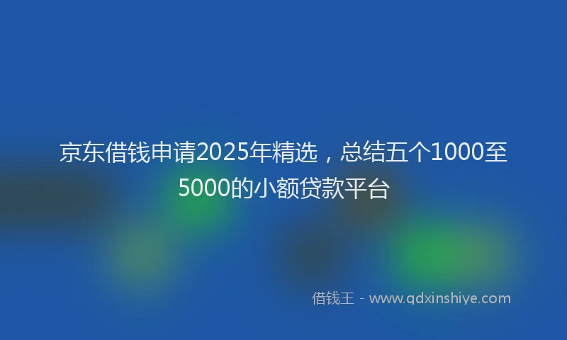 京东借钱申请2025年精选，总结五个1000至5000的小额贷款平台