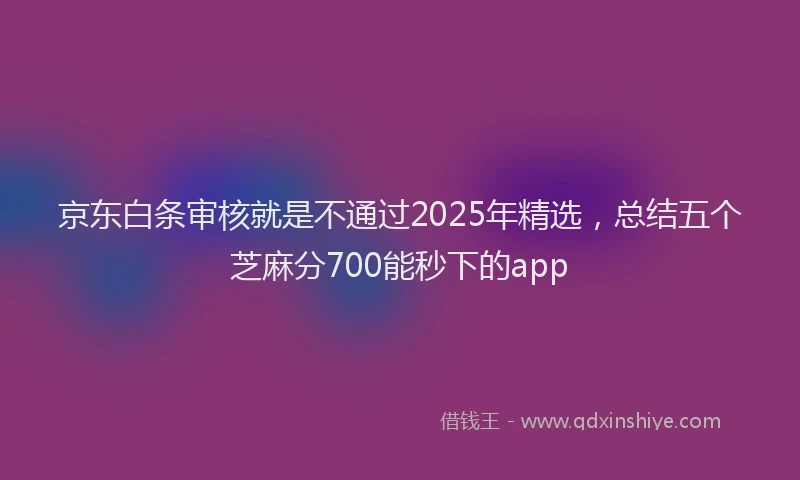 京东白条审核就是不通过2025年精选，总结五个芝麻分700能秒下的app