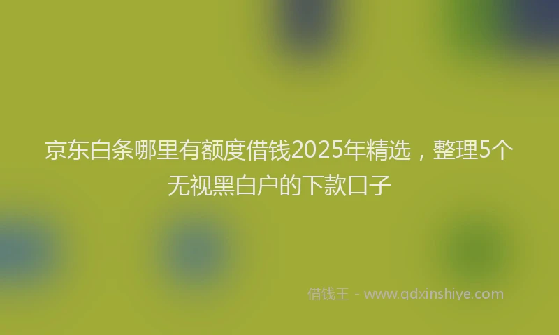 京东白条哪里有额度借钱2025年精选，整理5个无视黑白户的下款口子