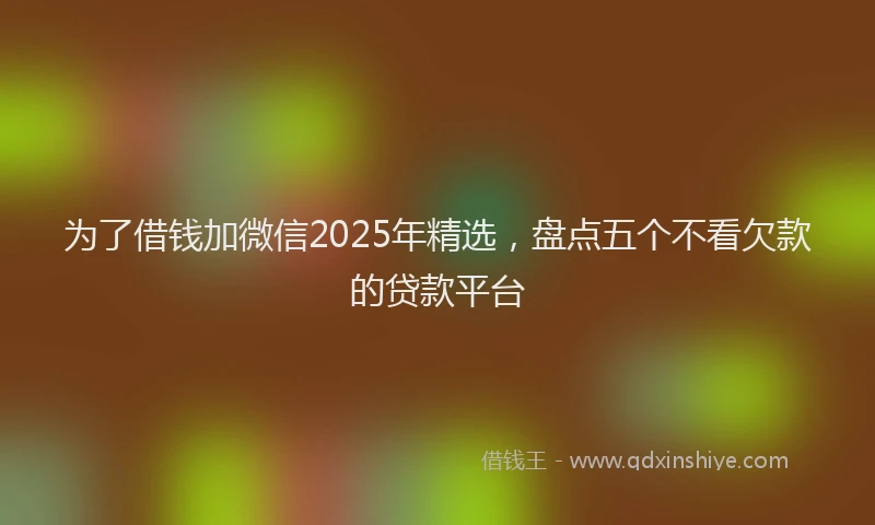 为了借钱加微信2025年精选，盘点五个不看欠款的贷款平台