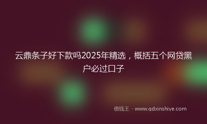 云鼎条子好下款吗2025年精选，概括五个网贷黑户必过口子