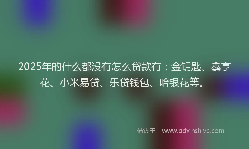 2025年的什么都没有怎么贷款有：金钥匙、鑫享花、小米易贷、乐贷钱包、哈银花等。