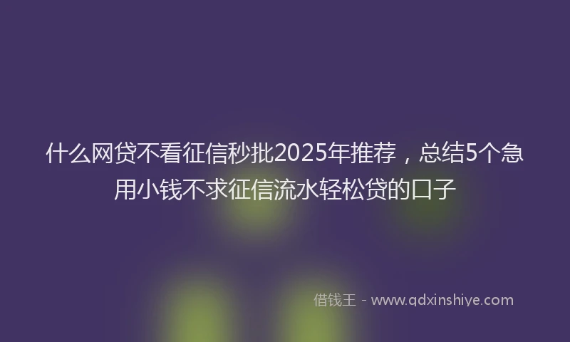 什么网贷不看征信秒批2025年推荐，总结5个急用小钱不求征信流水轻松贷的口子