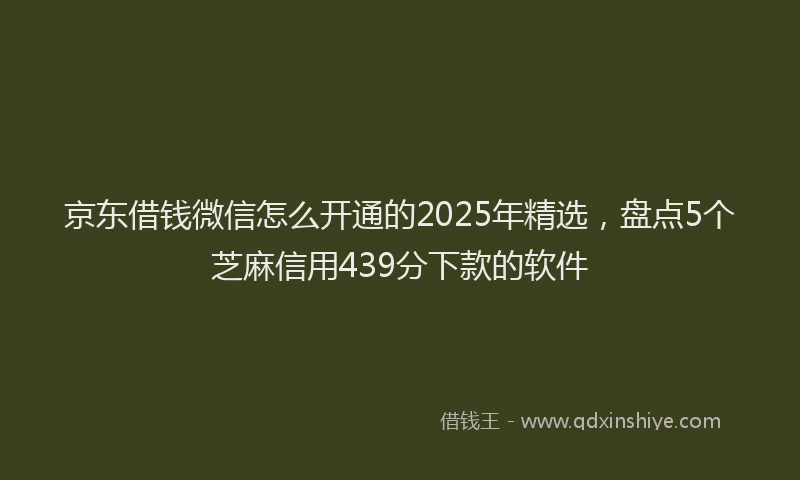 京东借钱微信怎么开通的2025年精选，盘点5个芝麻信用439分下款的软件
