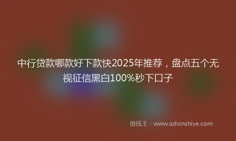 中行贷款哪款好下款快2025年推荐，盘点五个无视征信黑白100%秒下口子
