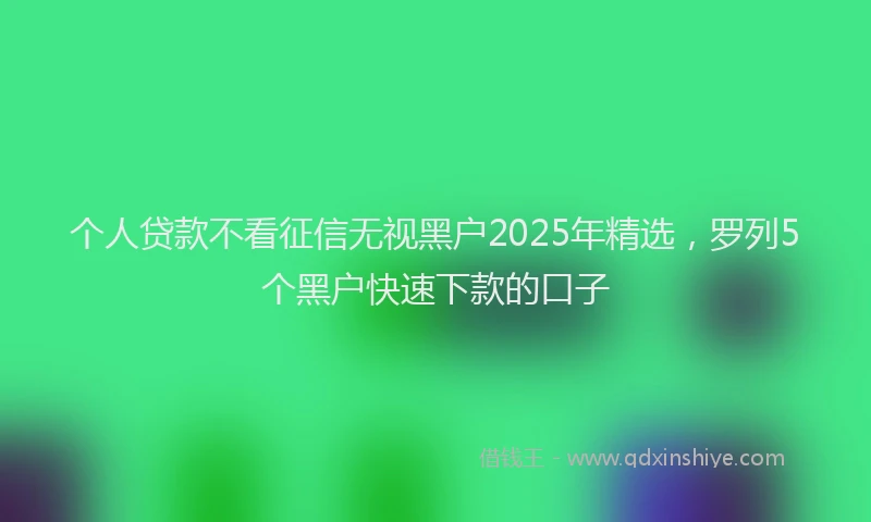 个人贷款不看征信无视黑户2025年精选，罗列5个黑户快速下款的口子
