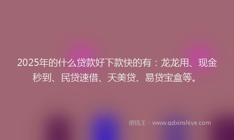2025年的什么贷款好下款快的有：龙龙用、现金秒到、民贷速借、天美贷、易贷宝盒等。