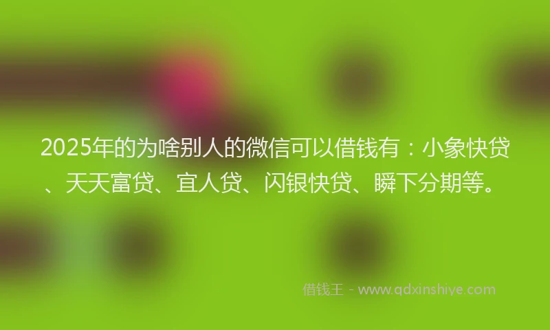 2025年的为啥别人的微信可以借钱有：小象快贷、天天富贷、宜人贷、闪银快贷、瞬下分期等。