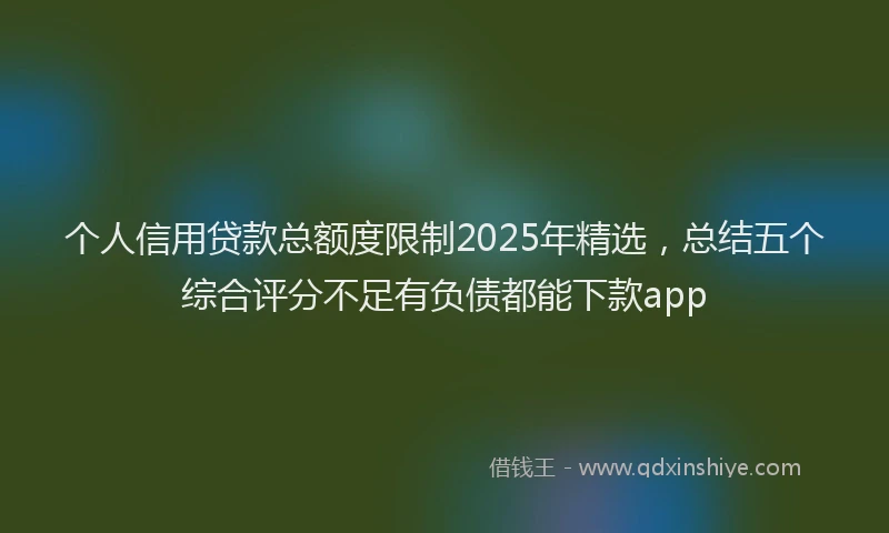 个人信用贷款总额度限制2025年精选，总结五个综合评分不足有负债都能下款app