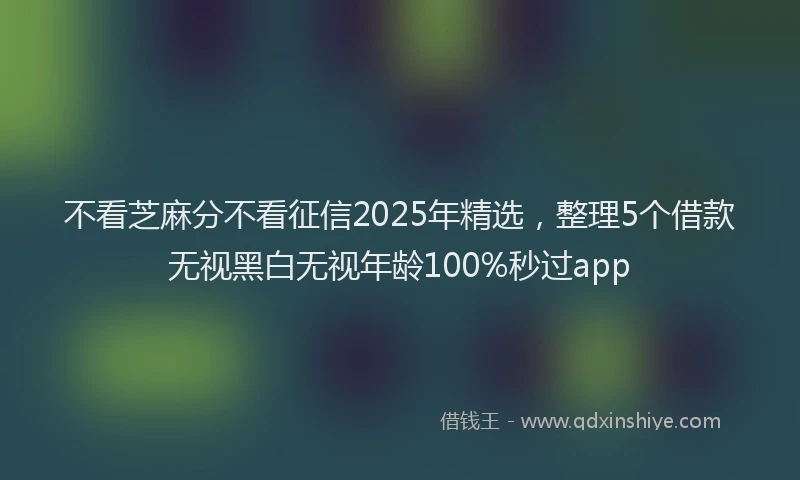 不看芝麻分不看征信2025年精选，整理5个借款无视黑白无视年龄100%秒过app
