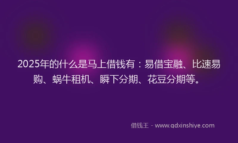 2025年的什么是马上借钱有：易借宝融、比速易购、蜗牛租机、瞬下分期、花豆分期等。