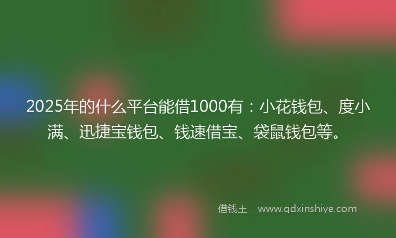2025年的什么平台能借1000有：小花钱包、度小满、迅捷宝钱包、钱速借宝、袋鼠钱包等。