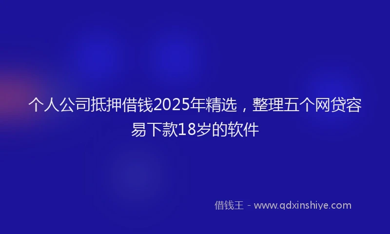 个人公司抵押借钱2025年精选，整理五个网贷容易下款18岁的软件