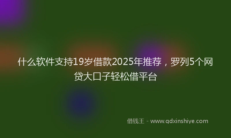什么软件支持19岁借款2025年推荐，罗列5个网贷大口子轻松借平台
