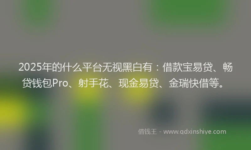 2025年的什么平台无视黑白有：借款宝易贷、畅贷钱包Pro、射手花、现金易贷、金瑞快借等。
