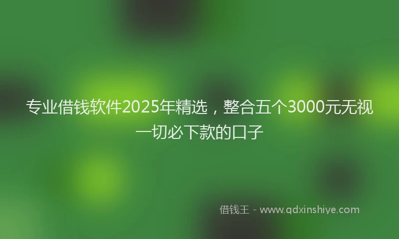 专业借钱软件2025年精选，整合五个3000元无视一切必下款的口子