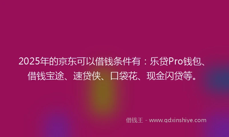 2025年的京东可以借钱条件有：乐贷Pro钱包、借钱宝途、速贷侠、口袋花、现金闪贷等。