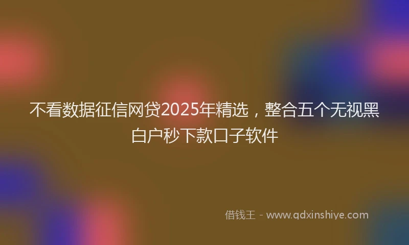 不看数据征信网贷2025年精选，整合五个无视黑白户秒下款口子软件