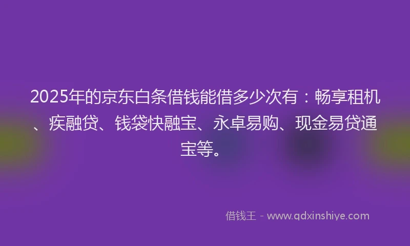 2025年的京东白条借钱能借多少次有：畅享租机、疾融贷、钱袋快融宝、永卓易购、现金易贷通宝等。