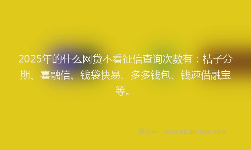 2025年的什么网贷不看征信查询次数有：桔子分期、喜融信、钱袋快易、多多钱包、钱速借融宝等。