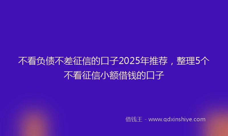 不看负债不差征信的口子2025年推荐，整理5个不看征信小额借钱的口子