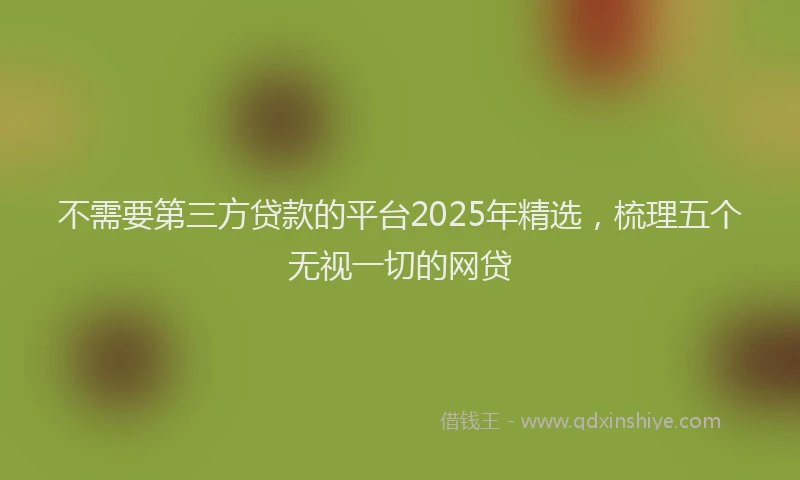 不需要第三方贷款的平台2025年精选，梳理五个无视一切的网贷