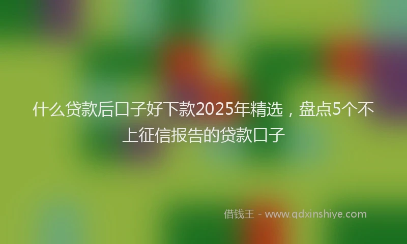 什么贷款后口子好下款2025年精选，盘点5个不上征信报告的贷款口子