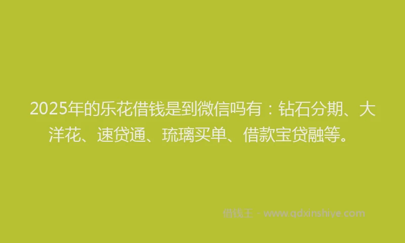 2025年的乐花借钱是到微信吗有：钻石分期、大洋花、速贷通、琉璃买单、借款宝贷融等。