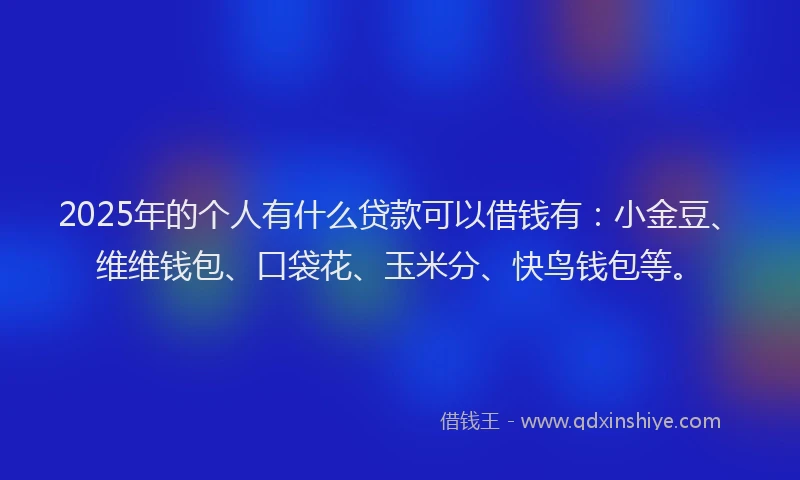 2025年的个人有什么贷款可以借钱有：小金豆、维维钱包、口袋花、玉米分、快鸟钱包等。