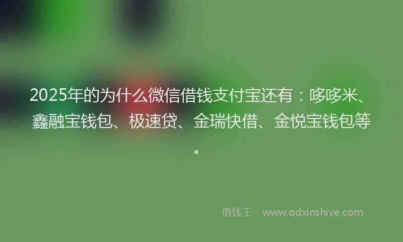 2025年的为什么微信借钱支付宝还有：哆哆米、鑫融宝钱包、极速贷、金瑞快借、金悦宝钱包等。