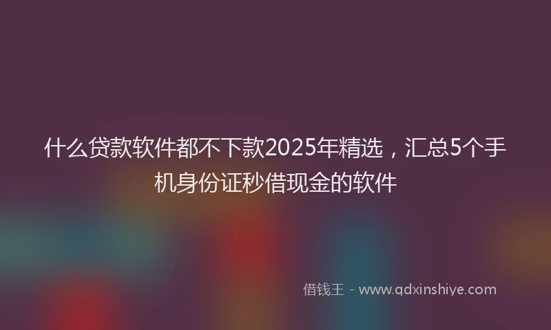 什么贷款软件都不下款2025年精选，汇总5个手机身份证秒借现金的软件