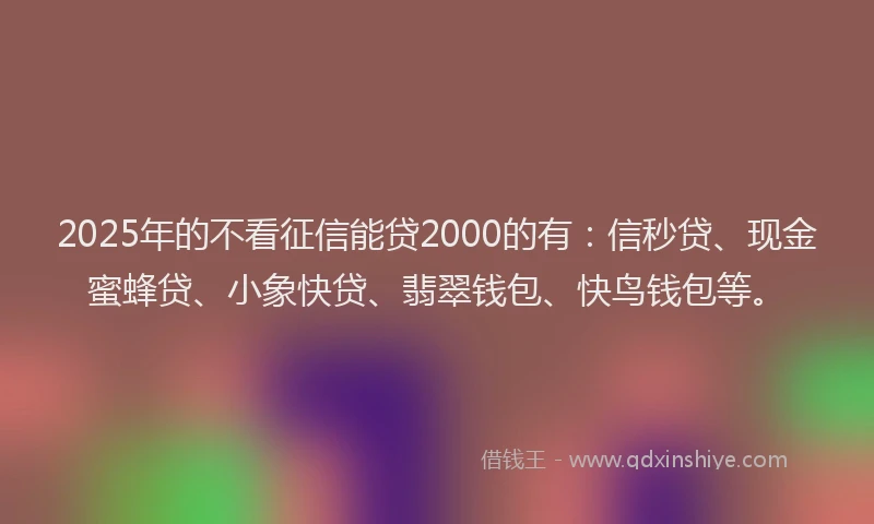 2025年的不看征信能贷2000的有：信秒贷、现金蜜蜂贷、小象快贷、翡翠钱包、快鸟钱包等。
