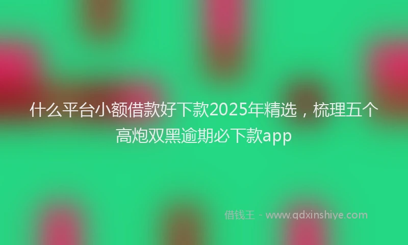 什么平台小额借款好下款2025年精选，梳理五个高炮双黑逾期必下款app