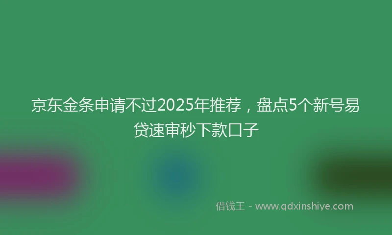 京东金条申请不过2025年推荐，盘点5个新号易贷速审秒下款口子