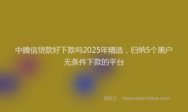 中腾信贷款好下款吗2025年精选，归纳5个黑户无条件下款的平台