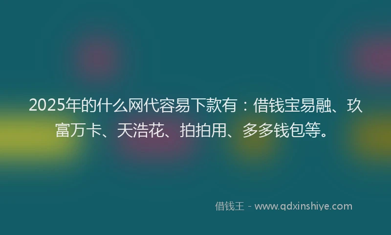 2025年的什么网代容易下款有：借钱宝易融、玖富万卡、天浩花、拍拍用、多多钱包等。