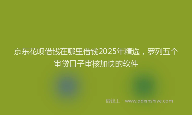 京东花呗借钱在哪里借钱2025年精选，罗列五个审贷口子审核加快的软件