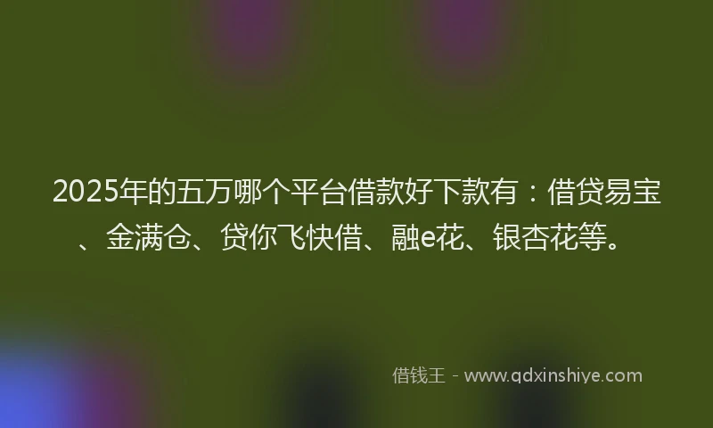 2025年的五万哪个平台借款好下款有：借贷易宝、金满仓、贷你飞快借、融e花、银杏花等。