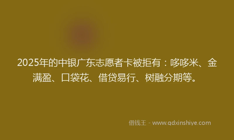 2025年的中银广东志愿者卡被拒有：哆哆米、金满盈、口袋花、借贷易行、树融分期等。