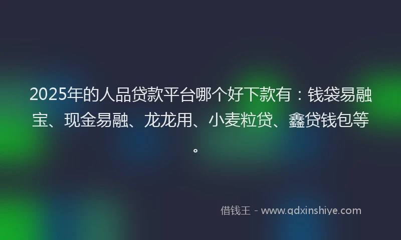 2025年的人品贷款平台哪个好下款有：钱袋易融宝、现金易融、龙龙用、小麦粒贷、鑫贷钱包等。