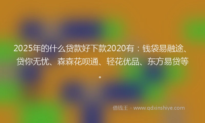 2025年的什么贷款好下款2020有：钱袋易融途、贷你无忧、森森花呗通、轻花优品、东方易贷等。